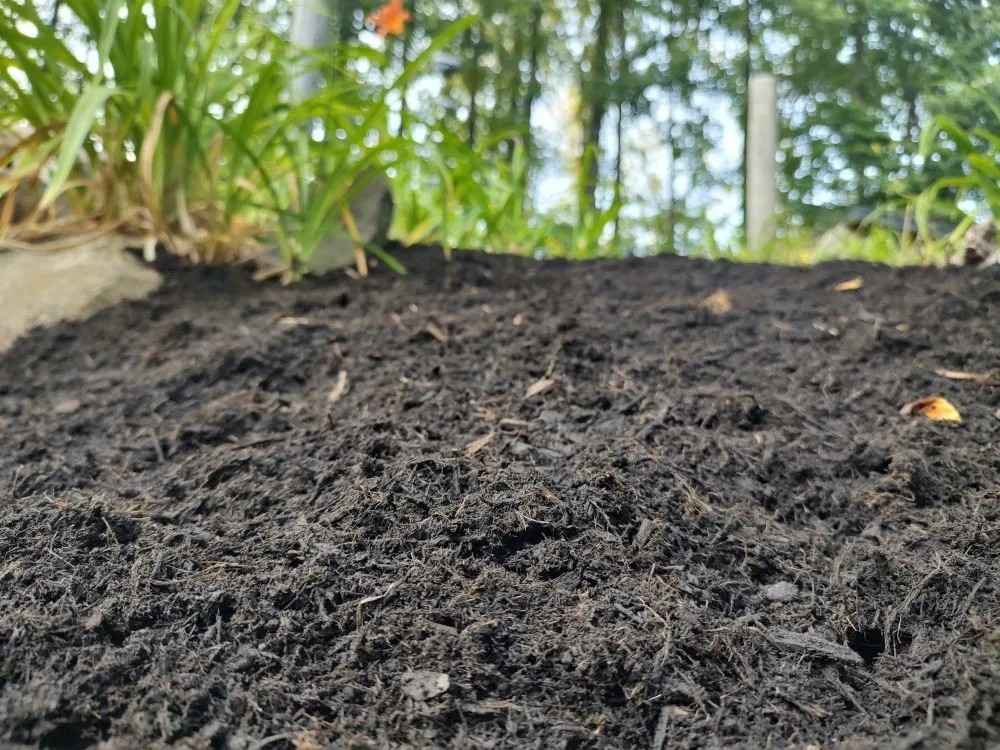 Top-rated residential landscaping in Myerstown, PA - T.C. Outdoors