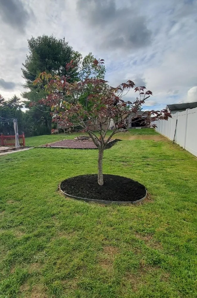 Custom residential landscaping in Myerstown, PA by T.C. Outdoors