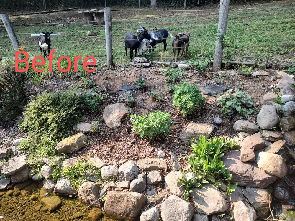 Top-rated landscaping services experts serving Myerstown, PA - T.C. Outdoors