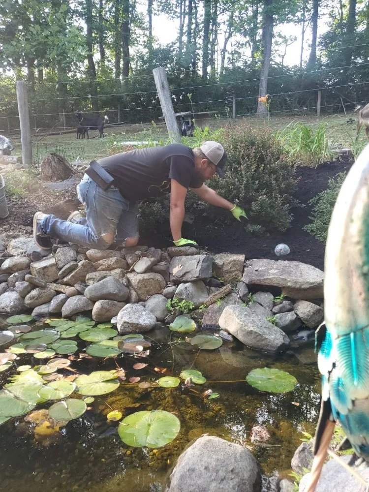 Expert yard cleanup service in Myerstown, PA - T.C. Outdoors