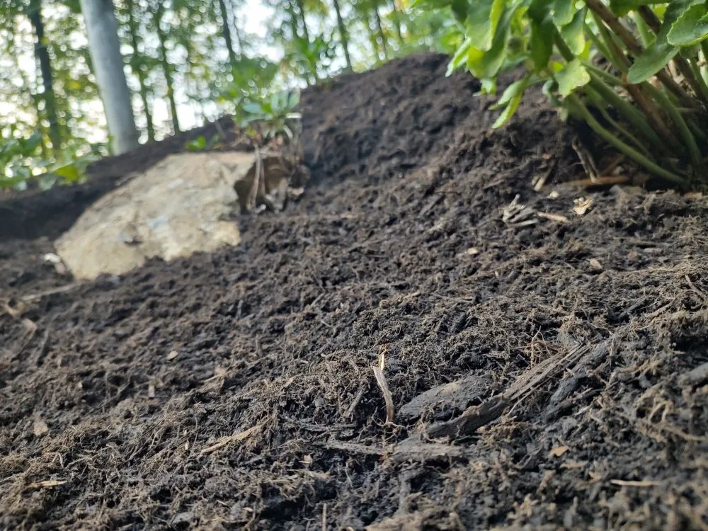 Custom yard cleanup service for outdoor upgrades in Myerstown, PA by T.C. Outdoors