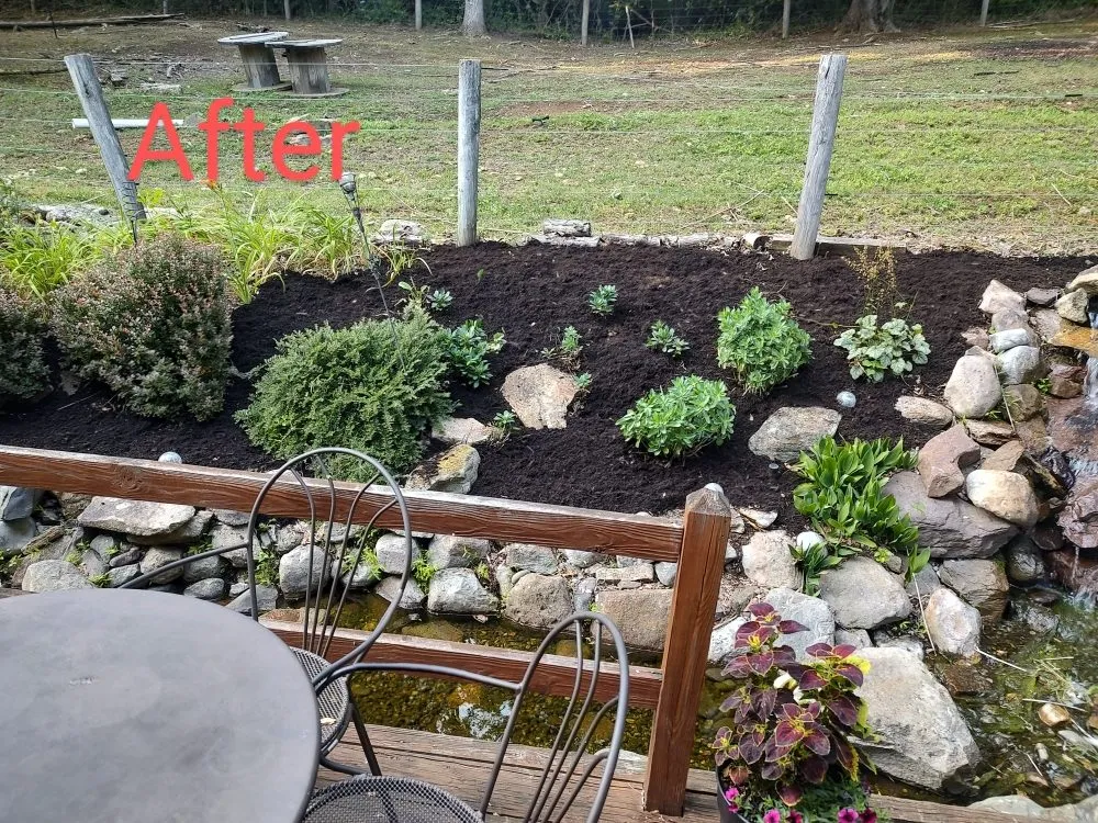 Professional yard cleanup service in Myerstown, PA - T.C. Outdoors