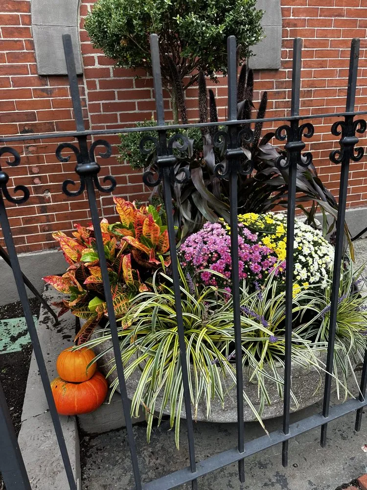 Affordable yard cleanup service in Medfield, MA by TC Pro Cleaning