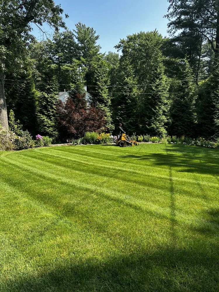 Affordable outdoor landscaping in Medfield, MA - TC Pro Cleaning