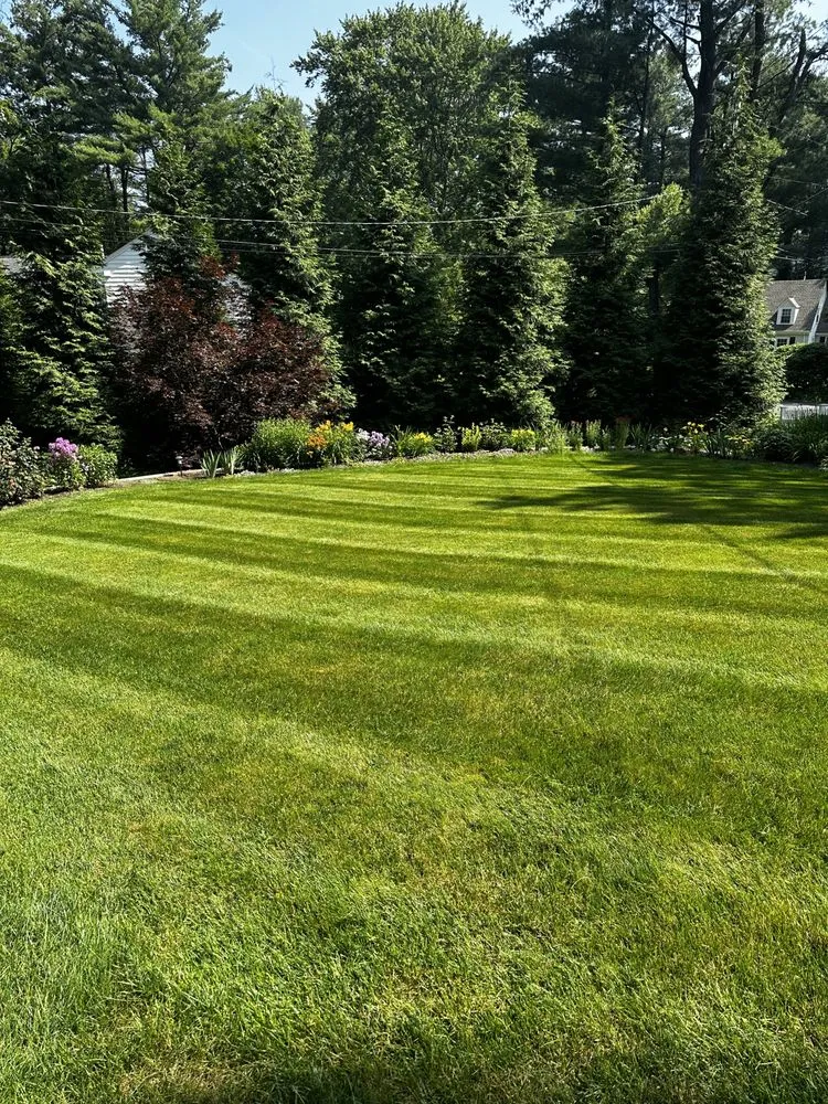 Affordable lawn care service in Medfield, MA - TC Pro Cleaning