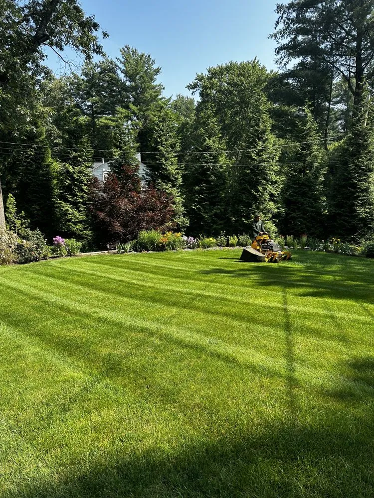 Expert garden landscaping experts serving Medfield, MA - TC Pro Cleaning