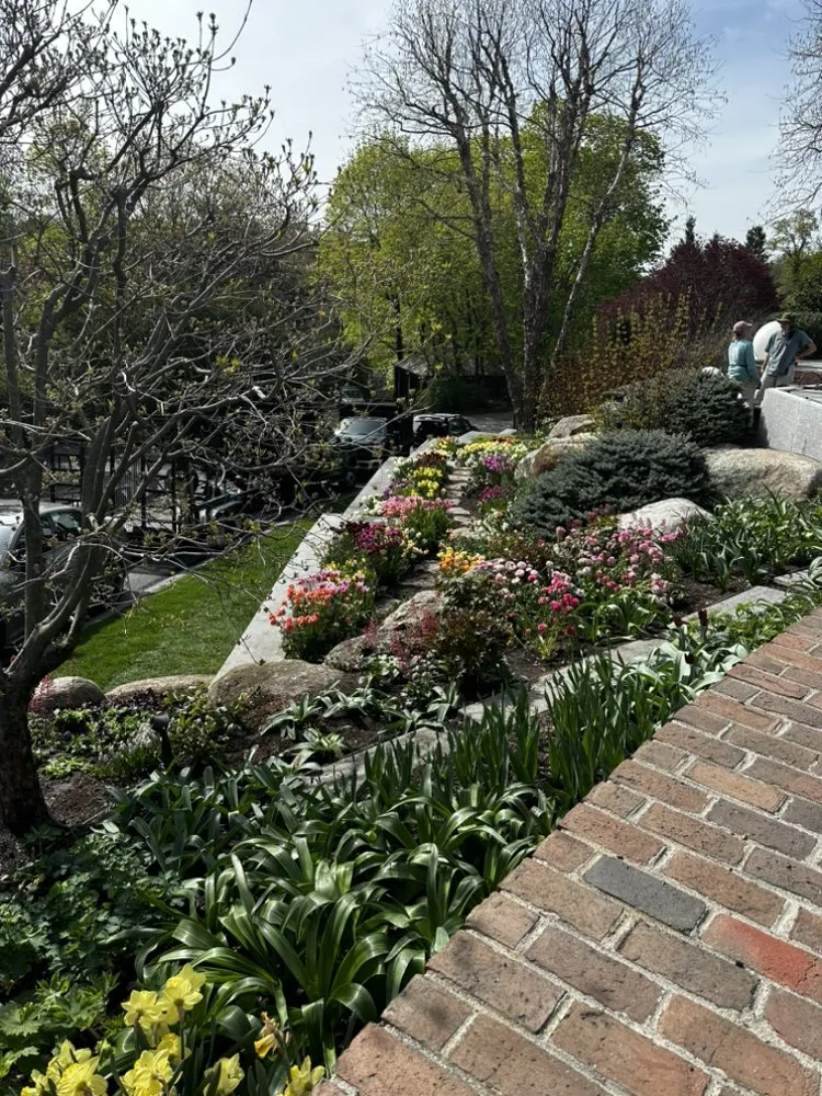 Affordable lawn care service in Medfield, MA by TC Pro Cleaning