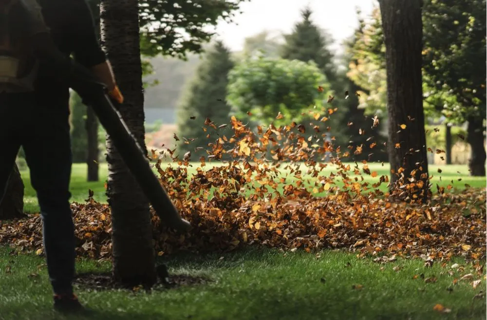 Expert landscape installation in Medfield, MA - TC Pro Cleaning