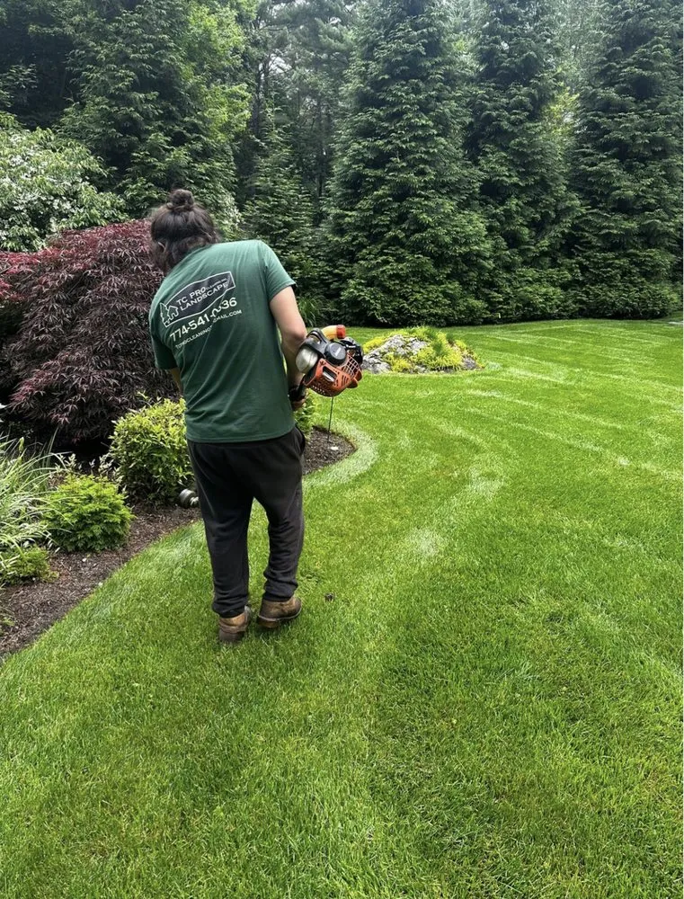 Local outdoor landscaping for residential properties across Medfield, MA - TC Pro Cleaning