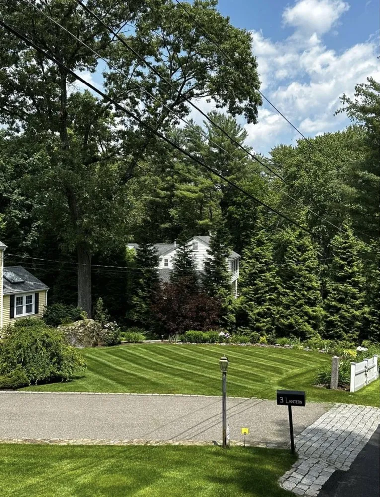 Local landscape design in Medfield, MA by TC Pro Cleaning