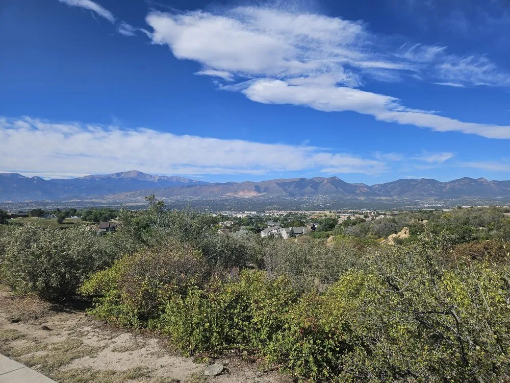 Reliable yard maintenance in Colorado Springs, CO by Tc Property Improvements