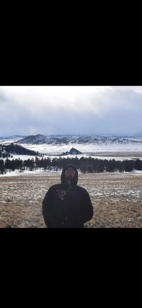 Expert landscaping services in Colorado Springs, CO by Tc Property Improvements