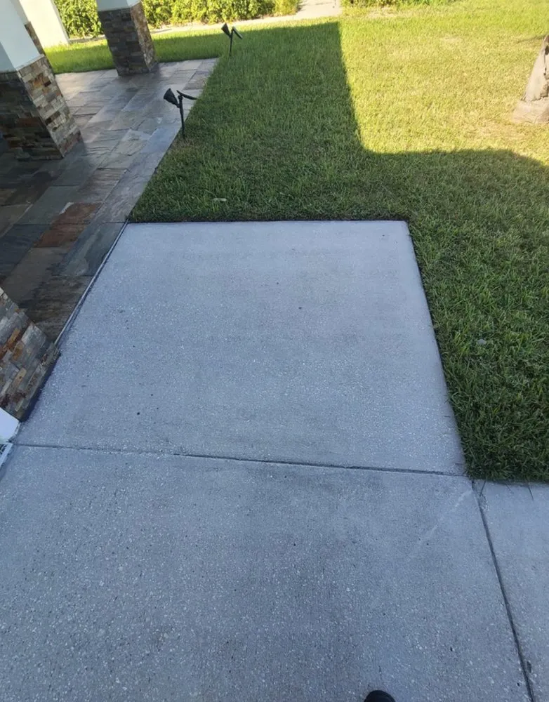 Affordable yard cleanup service experts serving Lakeland, FL - TC Property Maintenance