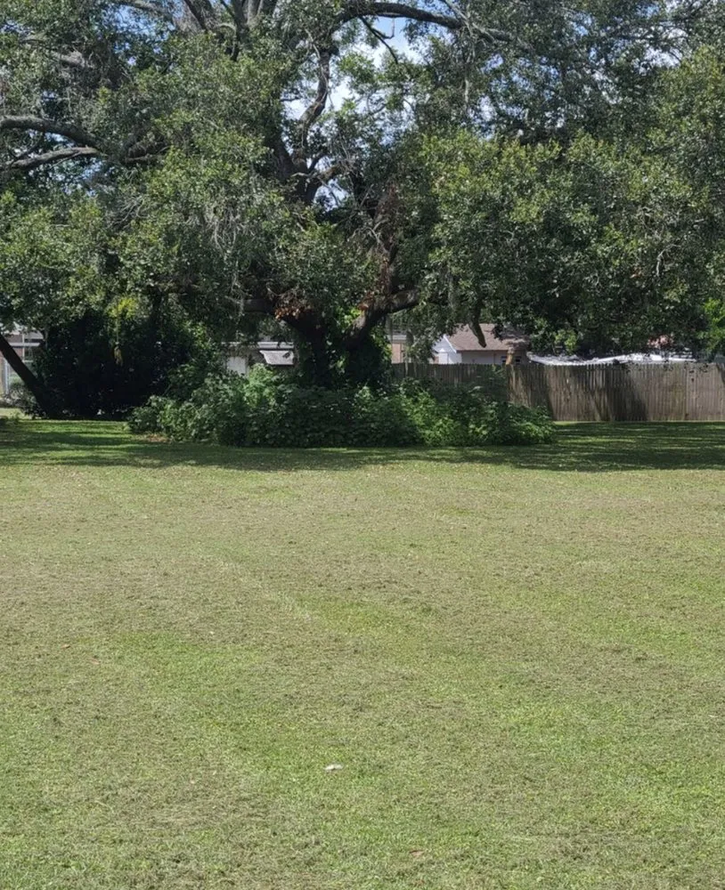 Professional yard cleanup service with custom design across Lakeland, FL - TC Property Maintenance