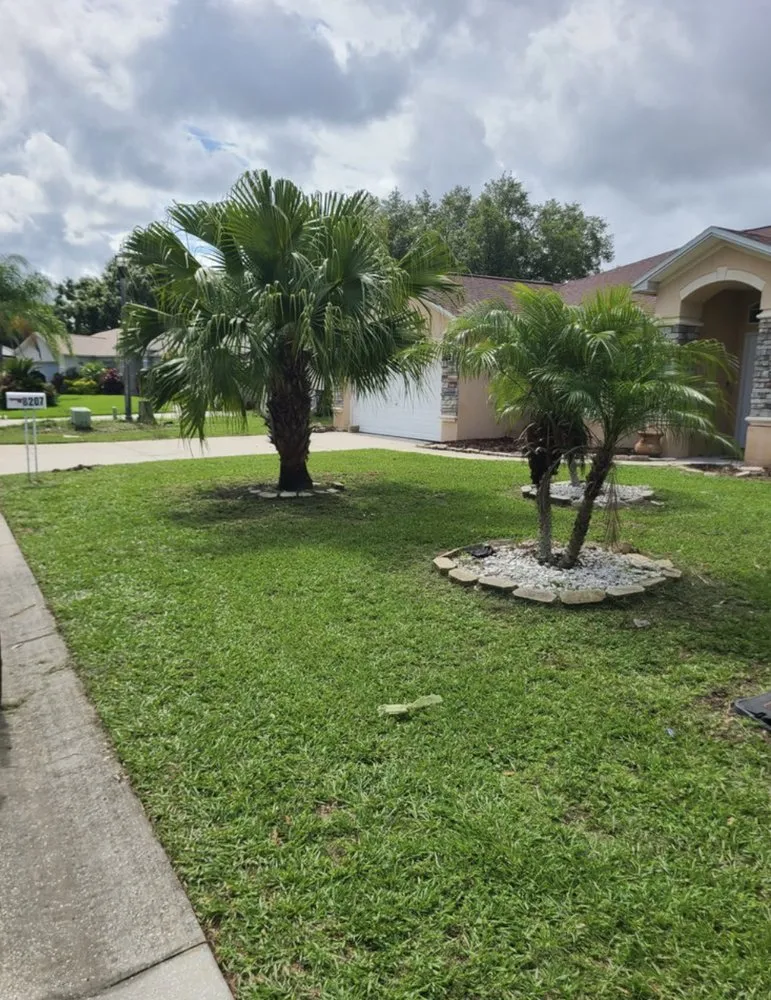 Top-rated yard maintenance for year-round maintenance in Lakeland, FL by TC Property Maintenance