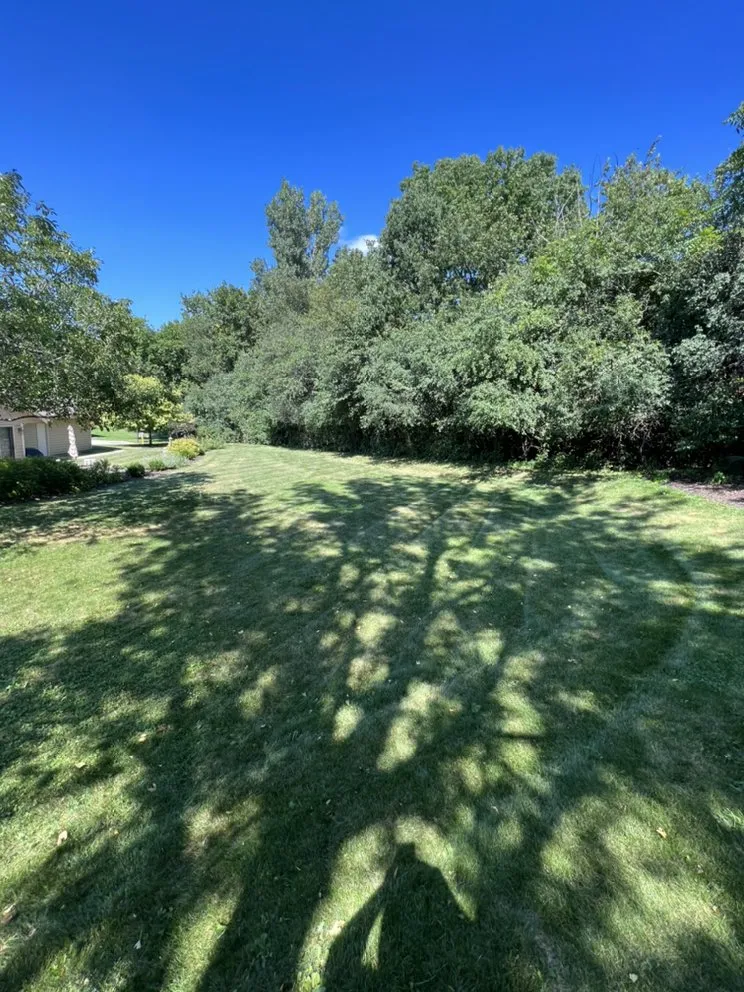 Professional landscape installation for residential properties across Vernon, WI - T&C Property Maintenance