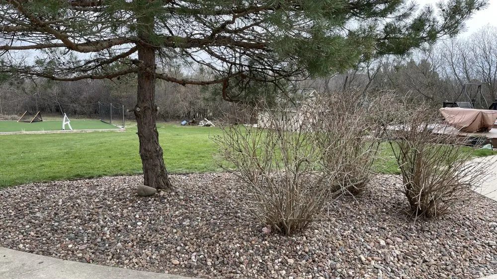 Local garden landscaping in Vernon, WI - T&C Property Maintenance