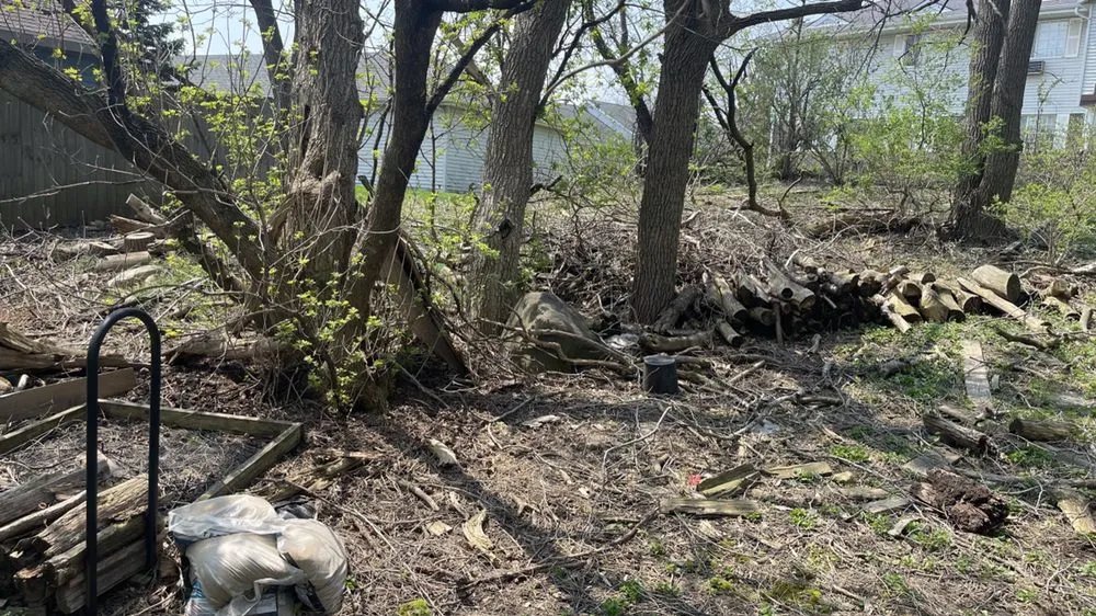 Local residential landscaping in Vernon, WI by T&C Property Maintenance