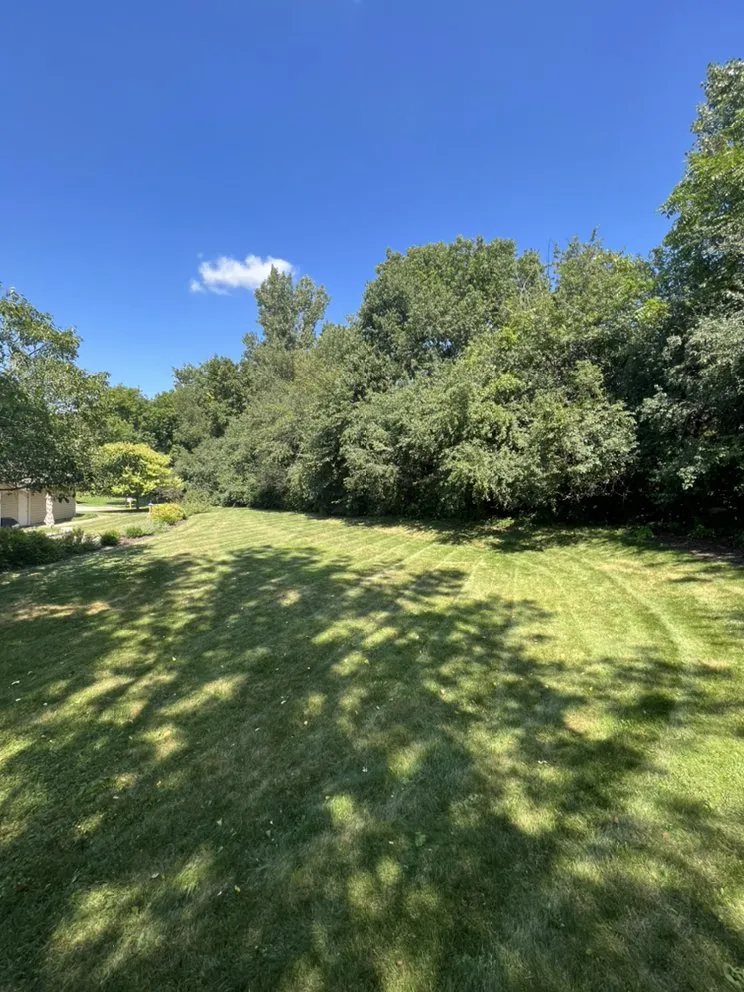 Affordable yard maintenance for beautiful yards in Vernon, WI by T&C Property Maintenance