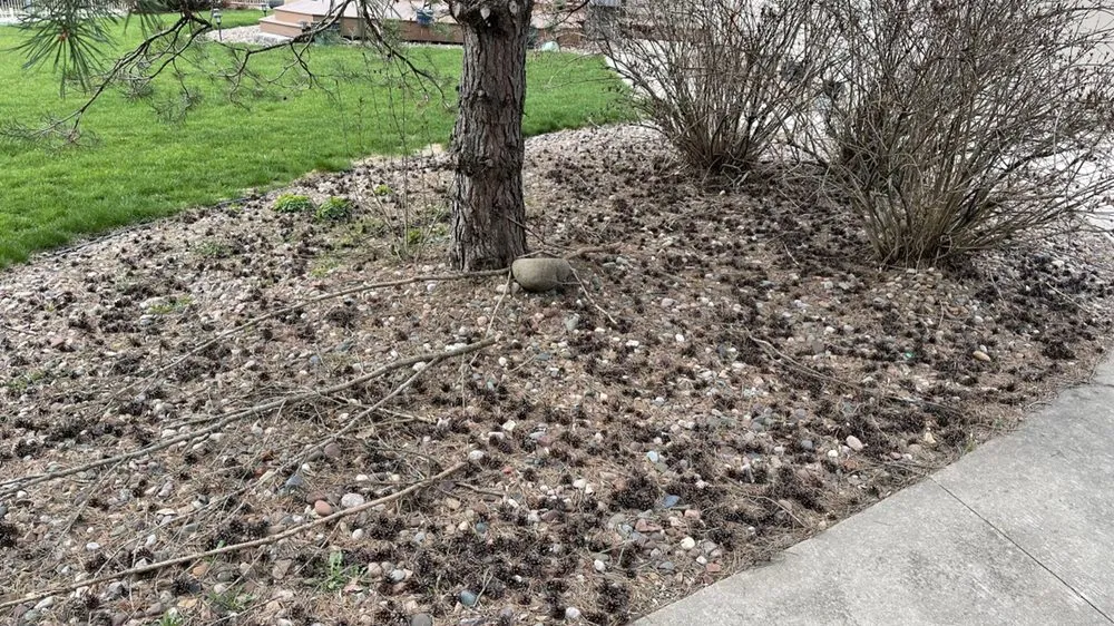 Custom garden landscaping with custom design in Vernon, WI by T&C Property Maintenance