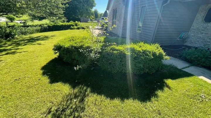 Trusted yard cleanup service in Vernon, WI by T&C Property Maintenance