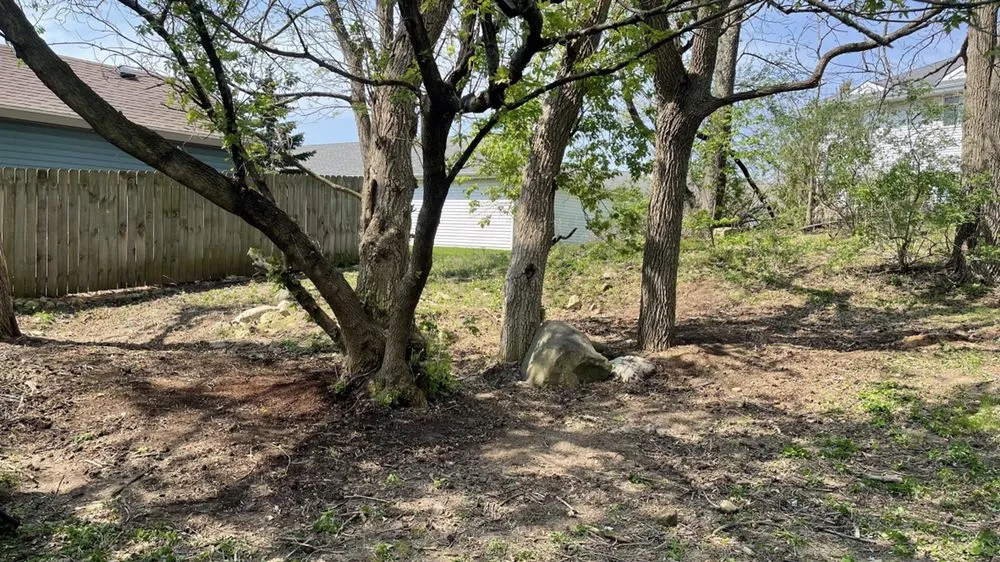 Trusted outdoor landscaping with custom design across Vernon, WI - T&C Property Maintenance