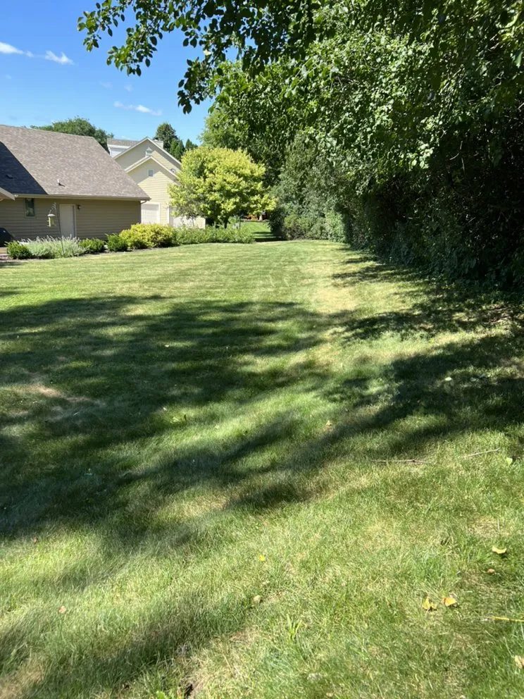 Trusted lawn mowing service experts serving Vernon, WI - T&C Property Maintenance