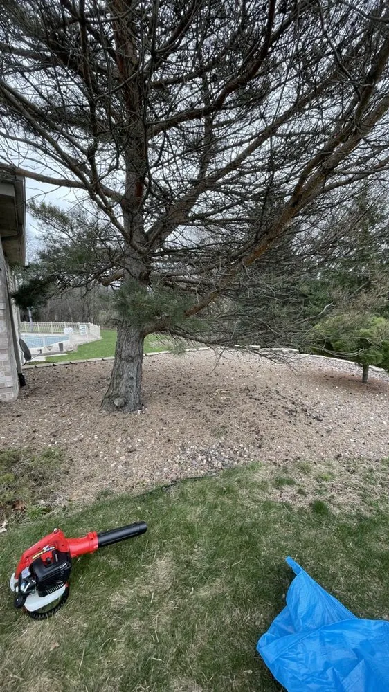 Professional landscape installation in Vernon, WI - T&C Property Maintenance