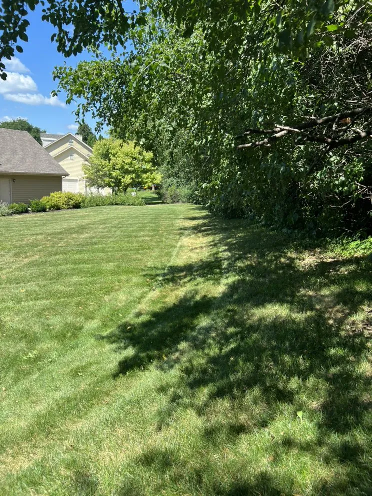 Trusted yard cleanup service experts serving Vernon, WI - T&C Property Maintenance