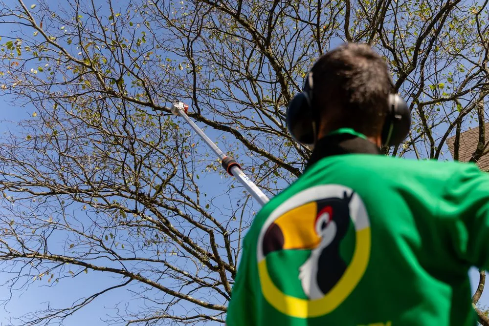 Affordable lawn mowing service for residential properties across New Albany, OH - Túcan Landscaping