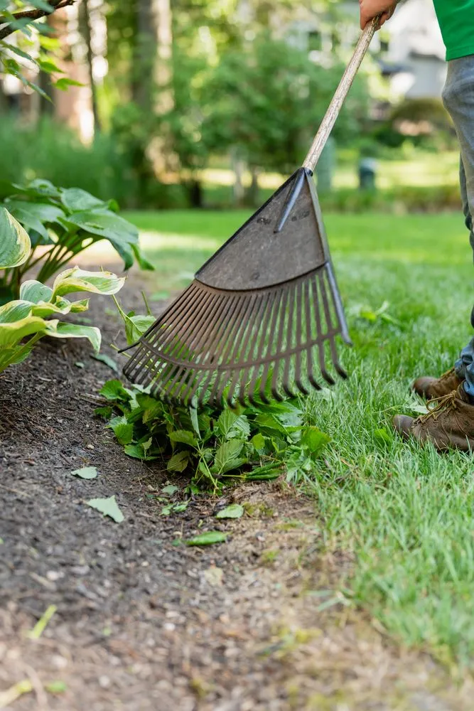 Top-rated yard maintenance in New Albany, OH - Túcan Landscaping