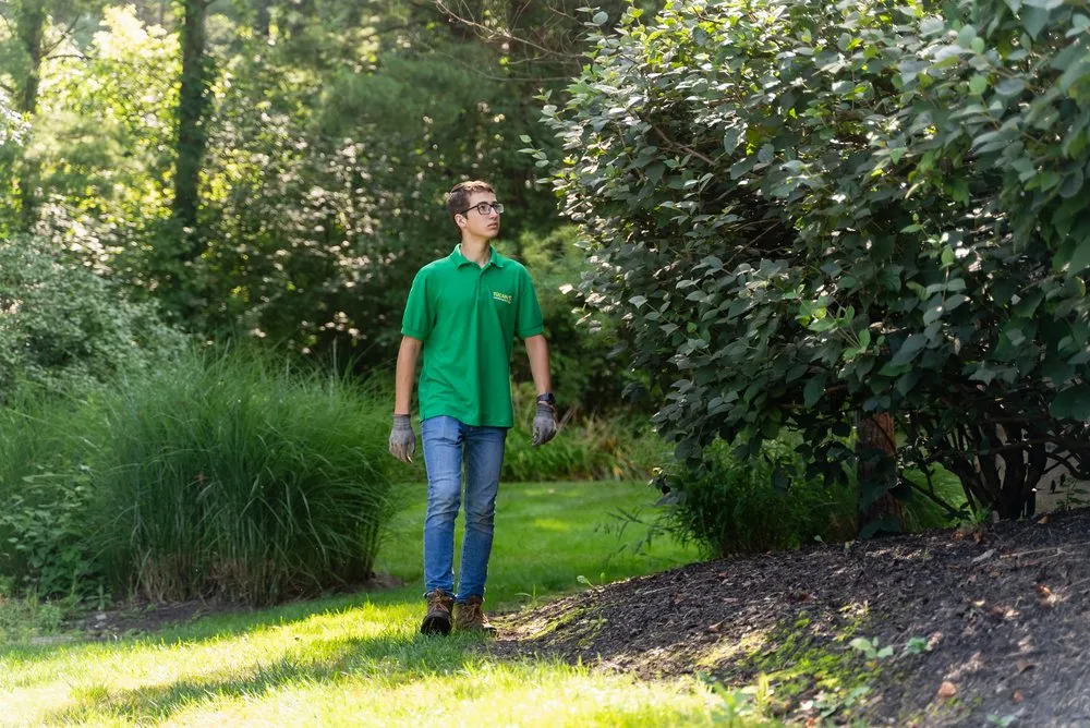 Local lawn mowing service in New Albany, OH by Túcan Landscaping