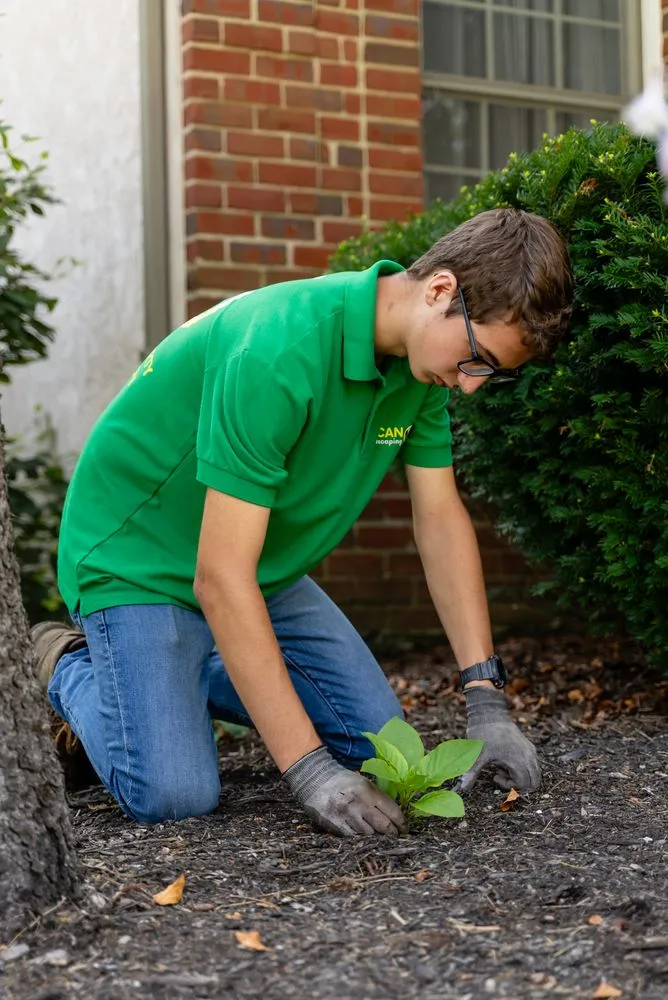 Top-rated landscaping services experts serving New Albany, OH - Túcan Landscaping