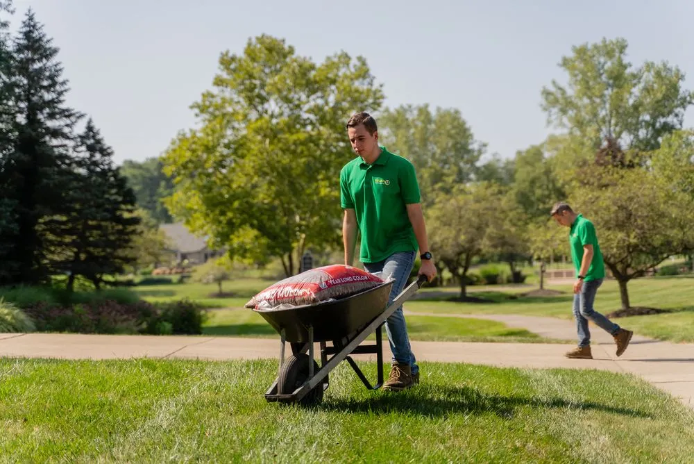 Custom yard maintenance for homes in New Albany, OH by Túcan Landscaping