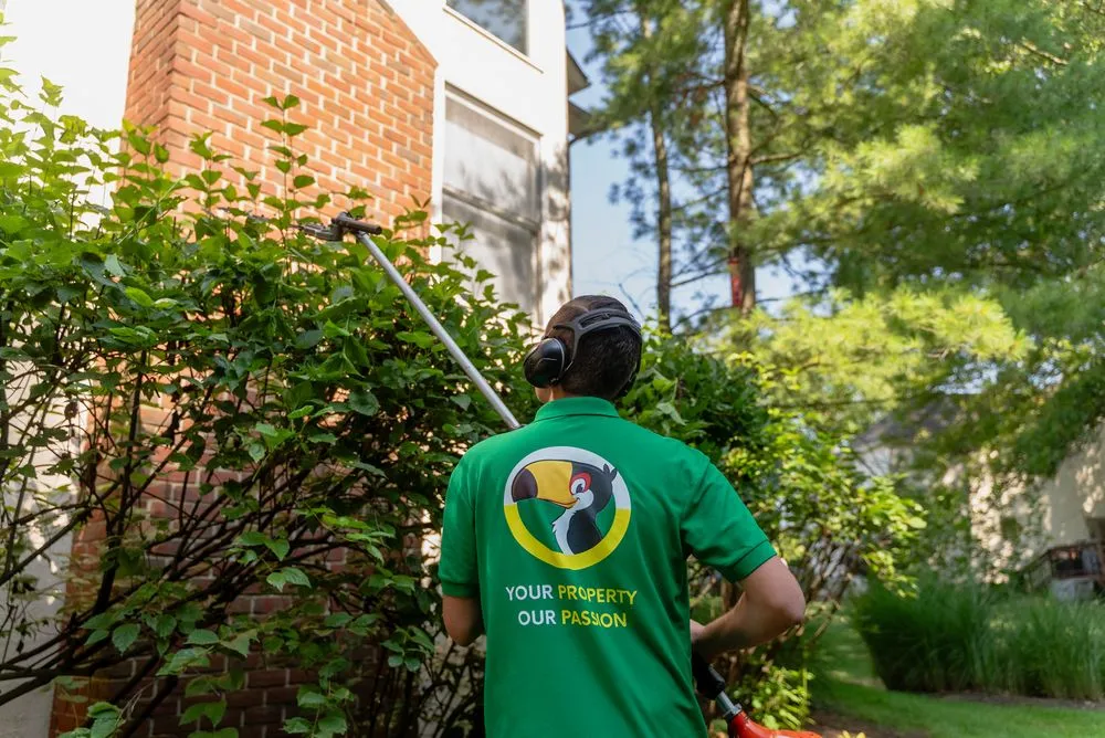 Expert garden landscaping near you across New Albany, OH - Túcan Landscaping