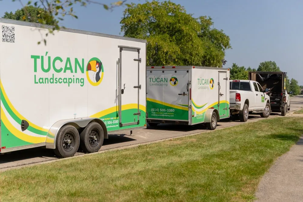 Custom yard cleanup service for year-round maintenance across New Albany, OH - Túcan Landscaping