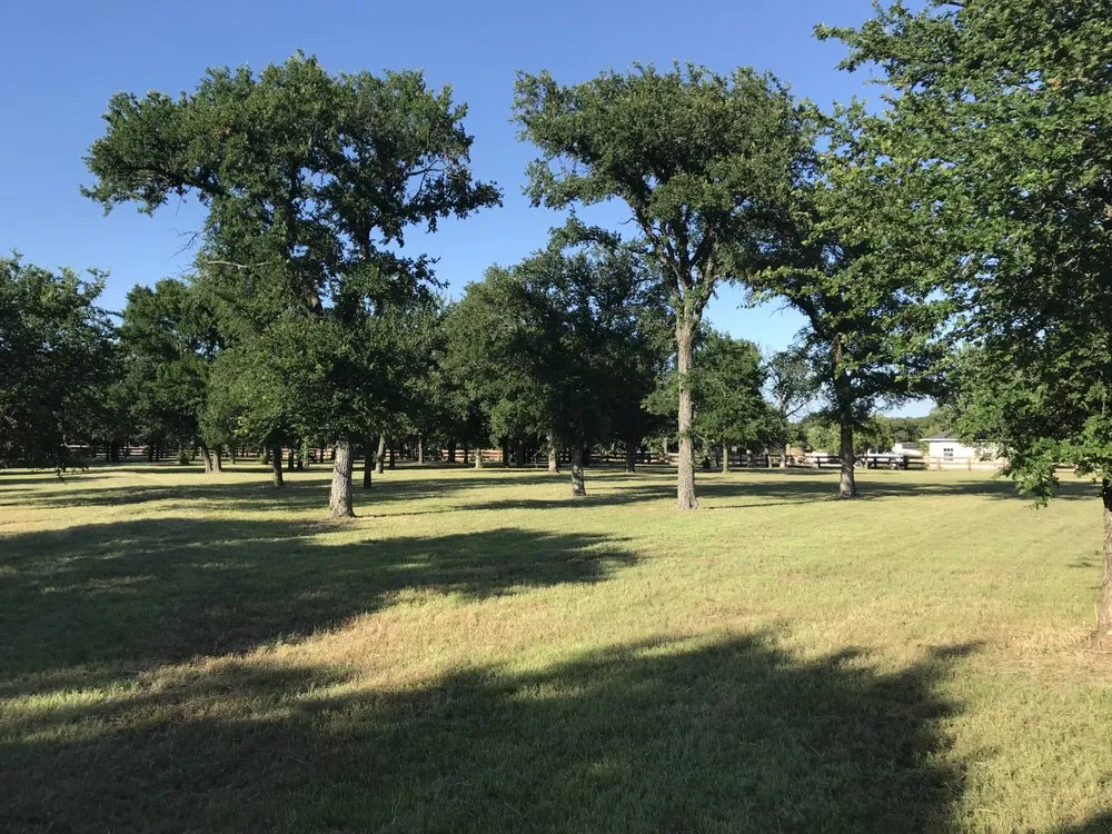 Trusted lawn care service for beautiful yards across Argyle, TX - TCB Landscaping Services