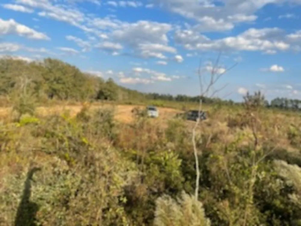 Reliable outdoor landscaping in Batesburg, SC - TCB Services