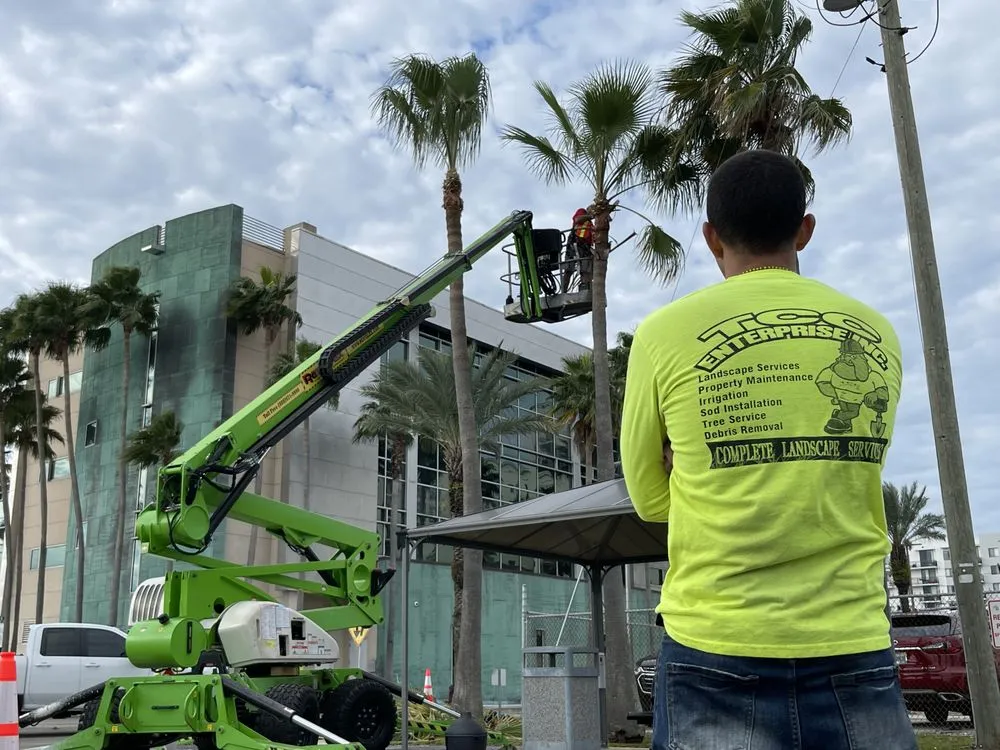 Expert landscaping services experts serving Thonotosassa, FL - TCC Enterprise