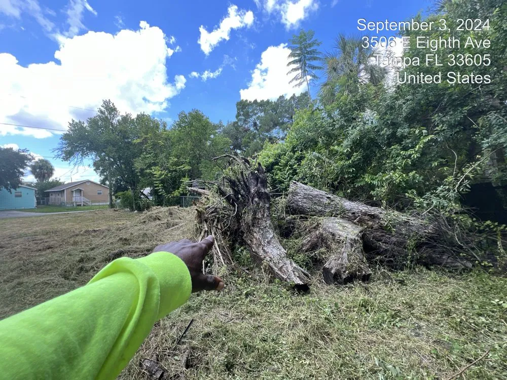 Expert yard cleanup service in Thonotosassa, FL - TCC Enterprise