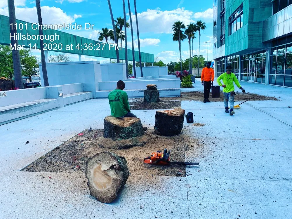 Expert yard cleanup service in Thonotosassa, FL by TCC Enterprise