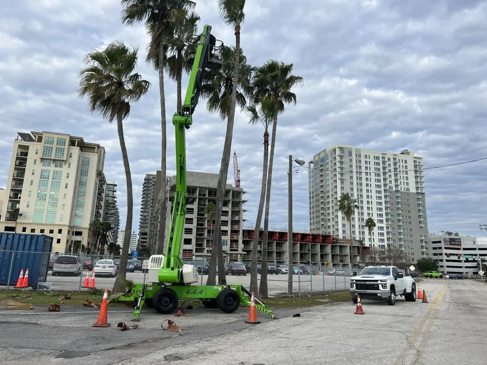 Local outdoor landscaping with custom design across Thonotosassa, FL - TCC Enterprise