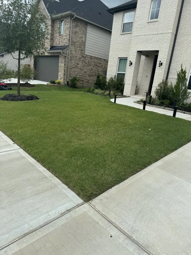 Top-rated yard maintenance near you across Houston, TX - TCD Lawn Care