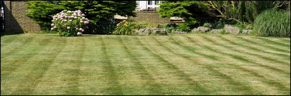 Professional residential landscaping in Marietta, GA - TCG Lawn Maintenance