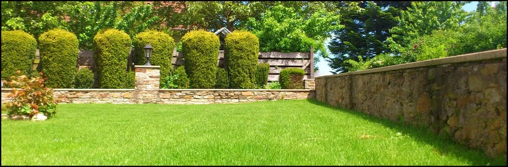 Trusted lawn care service experts serving Marietta, GA - TCG Lawn Maintenance