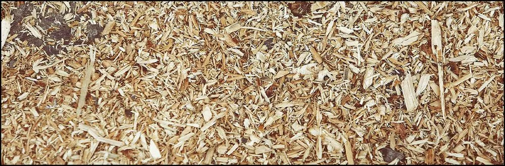 Expert landscape installation near you in Marietta, GA by TCG Lawn Maintenance