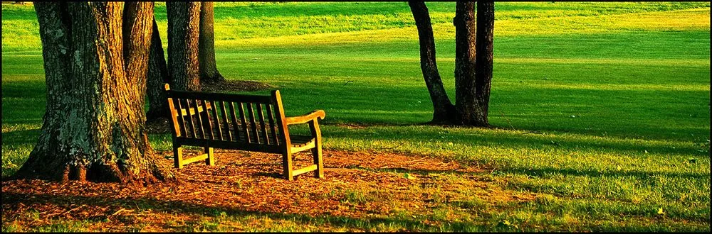 Local garden landscaping in Marietta, GA - TCG Lawn Maintenance