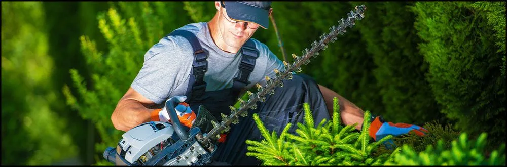 Trusted lawn mowing service with custom design in Marietta, GA by TCG Lawn Maintenance