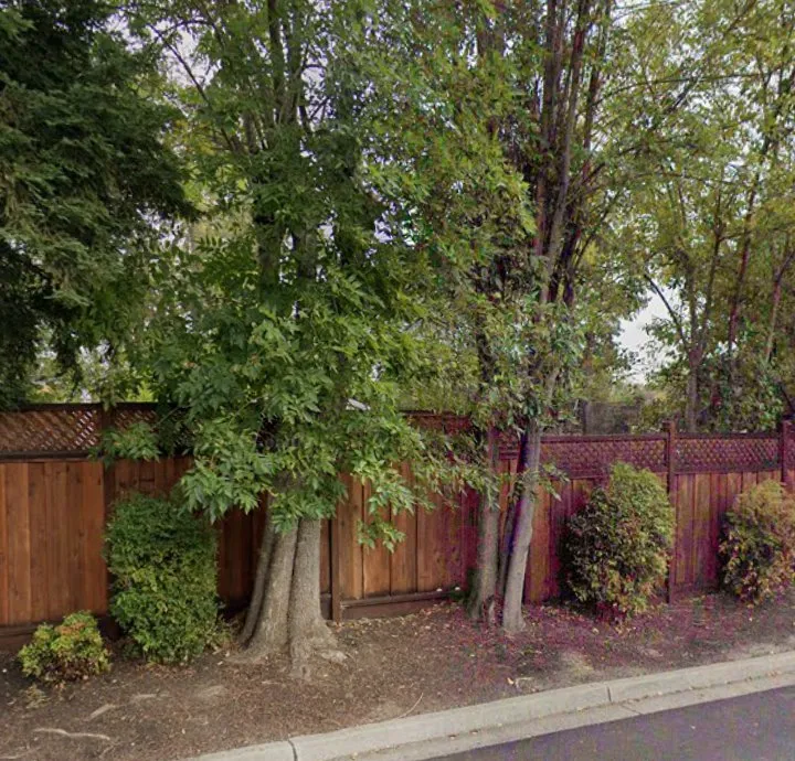 Affordable yard maintenance in Modesto, CA - TCH Landscape & Home Services