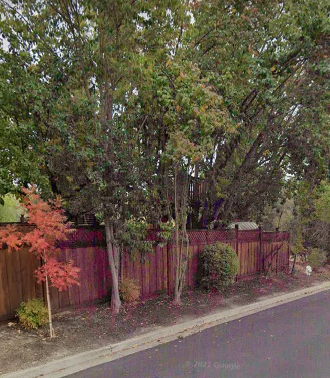 Professional landscape design in Modesto, CA by TCH Landscape & Home Services